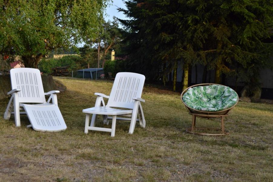 Bohemica 1 * Kourim