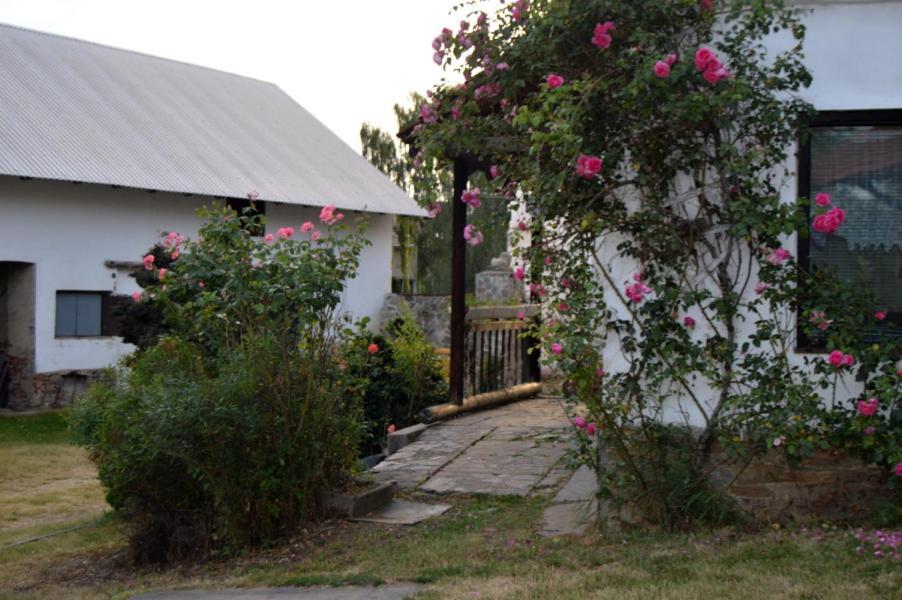 Bohemica 1 Apartment